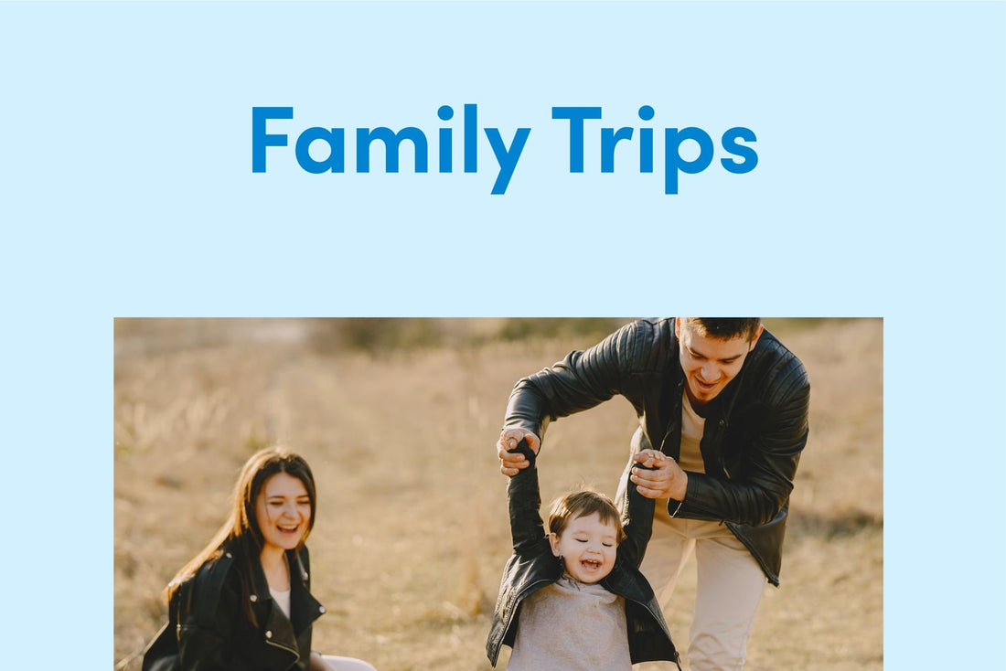 Making Grand Adventures Comfortable: LooREADY Toilet Seat Covers for Multigenerational Family Trips